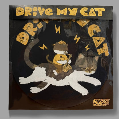 Cat Series Vinyl Record Slipmat – Wool Felt Turntable Mat & Vinyl Player Accessory